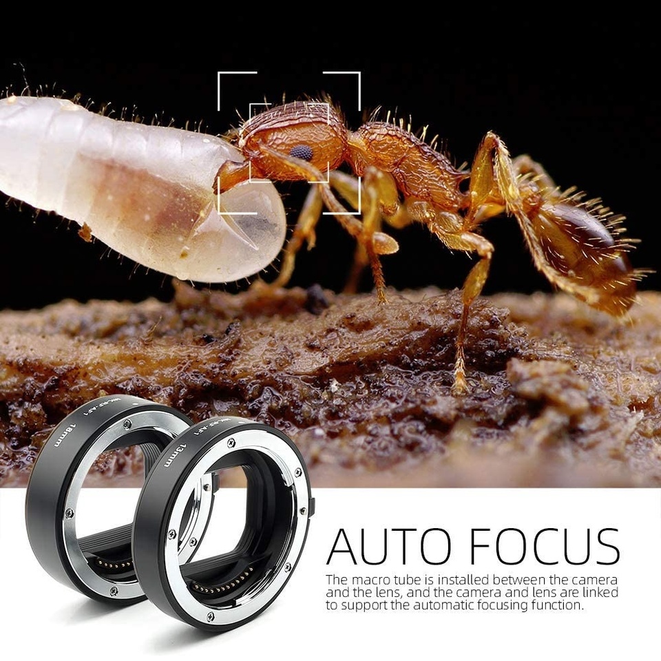 Anillo de extensión macro de e - Canon Camera Eos R8 reseña y precio
